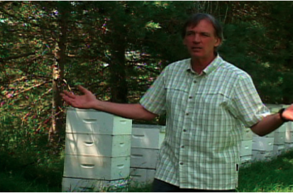 Le Clos des Brumes ruches